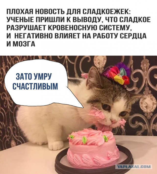 Идиотизм как образ жизни