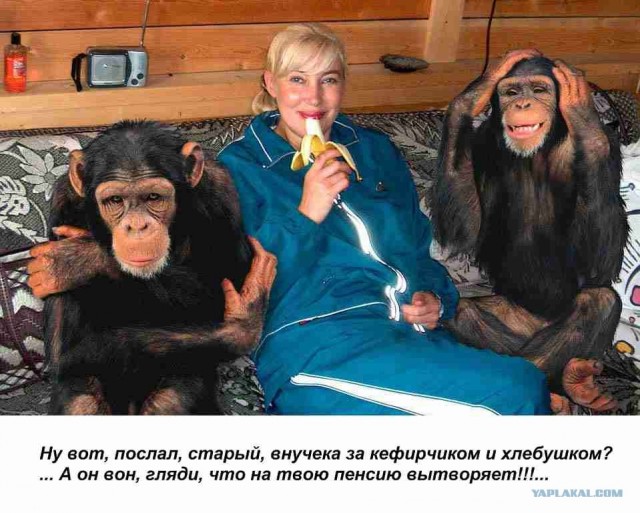 Волосатый ловелас, 18+