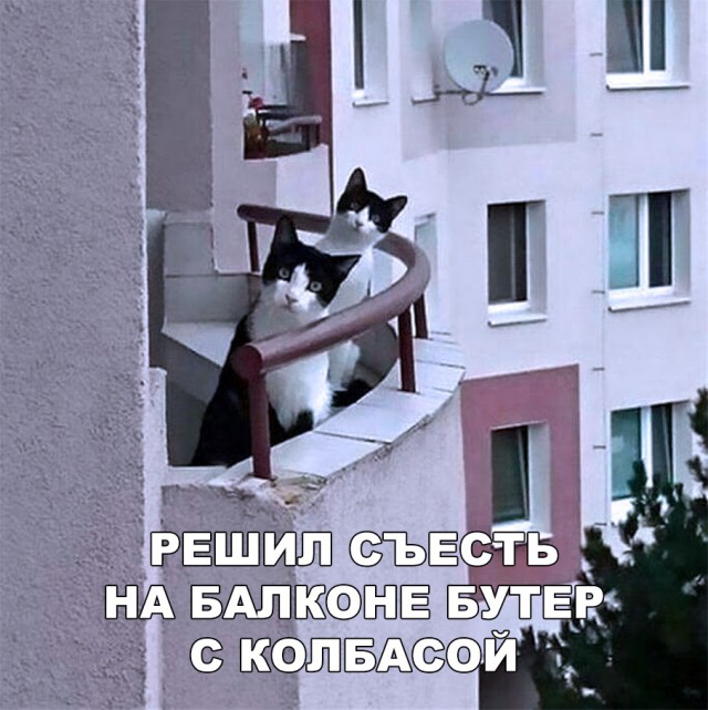 Немного милоты