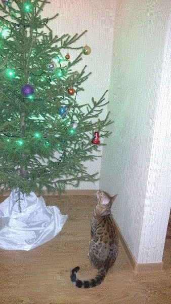 С новым годом!
