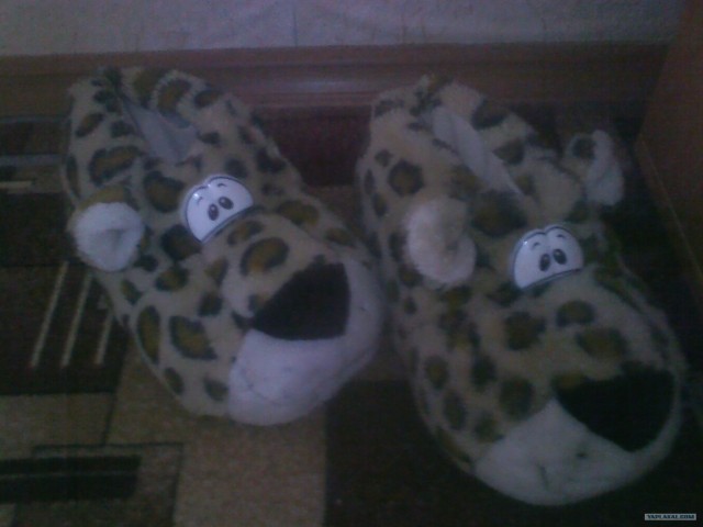 Собакочетверг