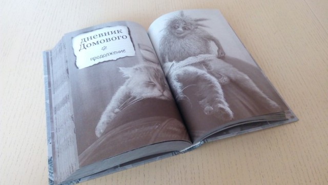 Интервью с Sasнaaist