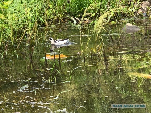Во Владивостоке на автопарковку сошел оползень