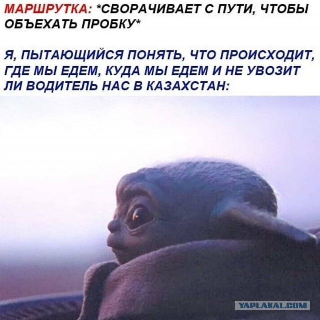 Чуток картинок! Финал в этом году