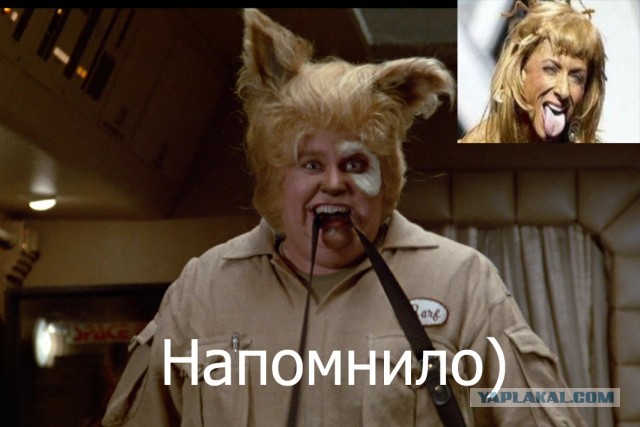 К непослушным мальчикам, которые плохо себя вели, в следующем НГ придет вот такая снегурка