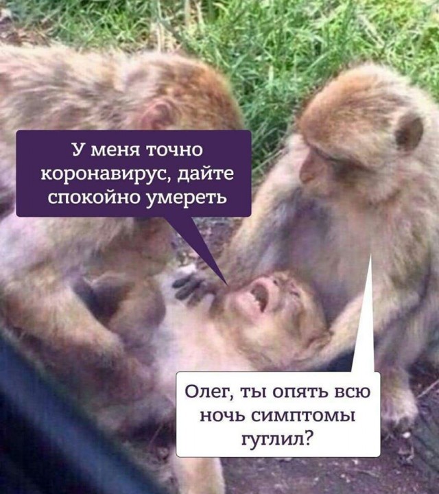 Бредзона 16.02.20