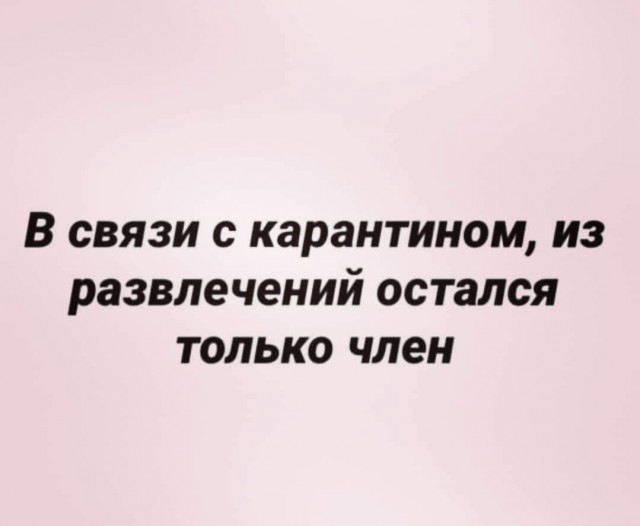 Чем же заняться во время карантина?
