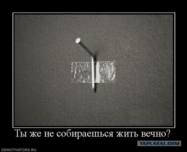 Деятельная жена в отпуске, хуже пожара