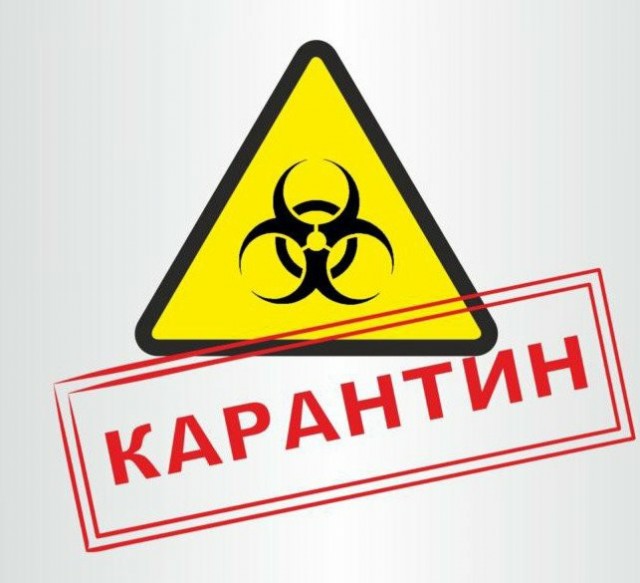Масочно-перчаточный режим введен официально. Питер