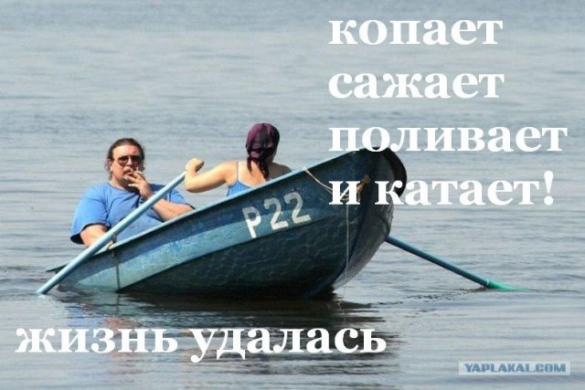 На огороде