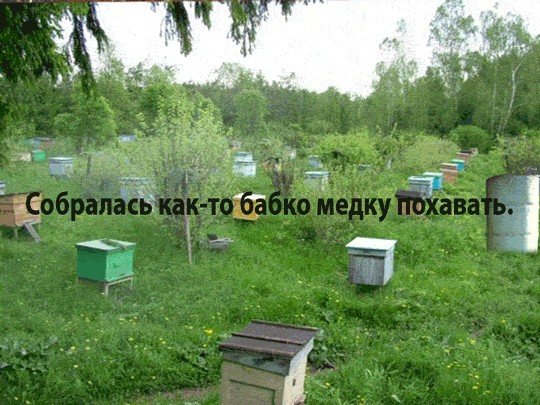 Фотожаба: Бабушкина бочка