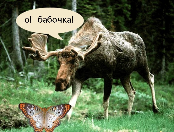 Удивительное рядом