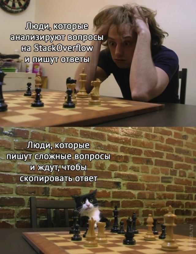 Немного картинок для настроения 05.11.20