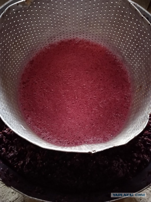 Вино. Виноделие. Молдова