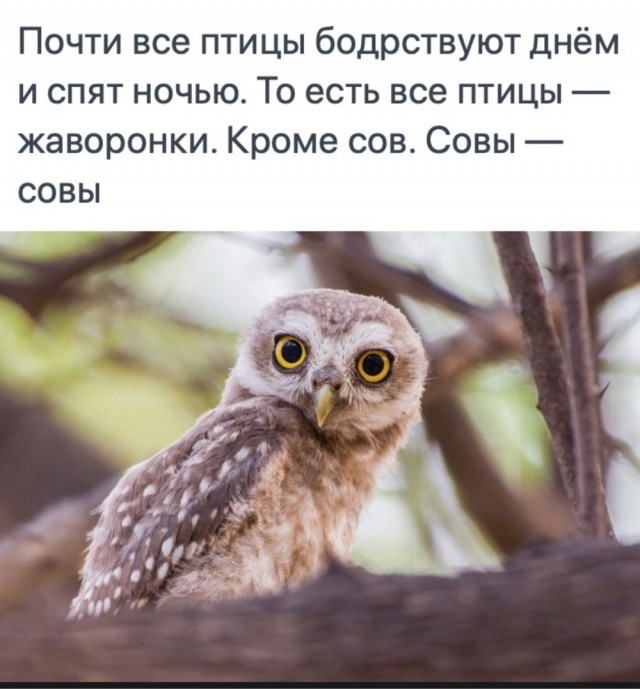 С миру по нитке 11.12 пятница