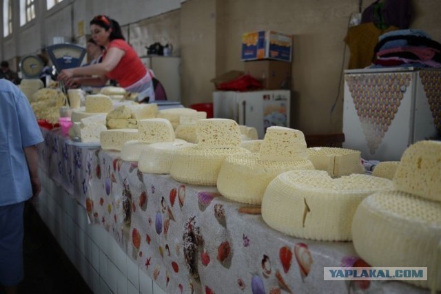 Россияне в целях экономии постепенно переходят на "сырный" продукт