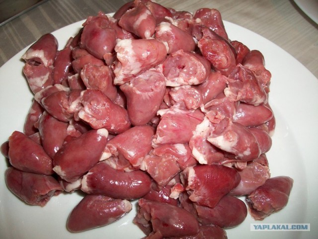 Куриная кардиология