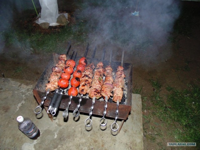 Дача, грибы, мясо, овощи.