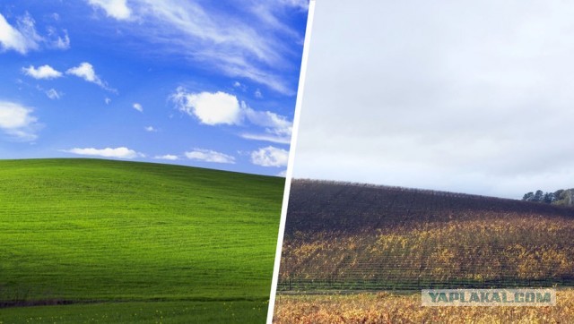 Windows XP исполнилось 20 лет