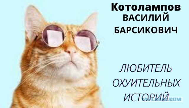 Доставка грузов. Истории с одной транспортной компании