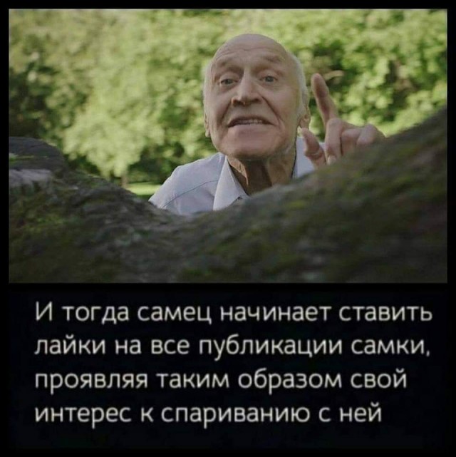 Так себе картинки 25.12.21