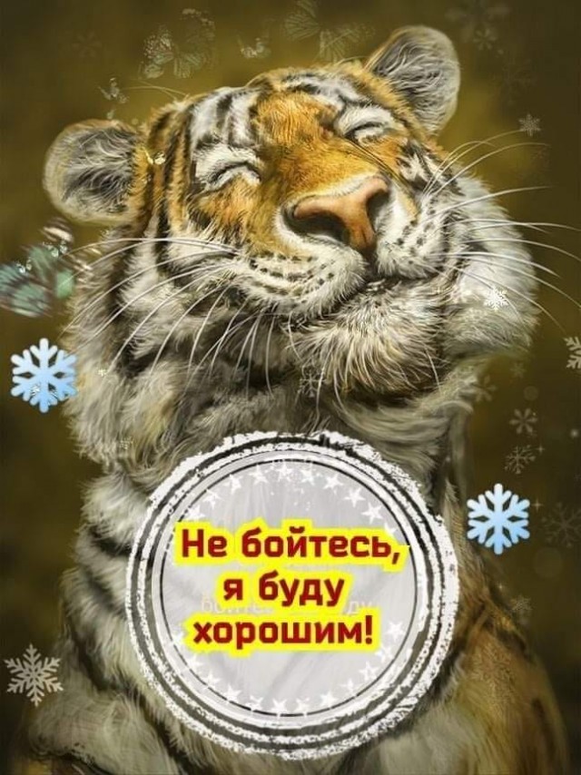 Всяческие картинки 27.12.2021