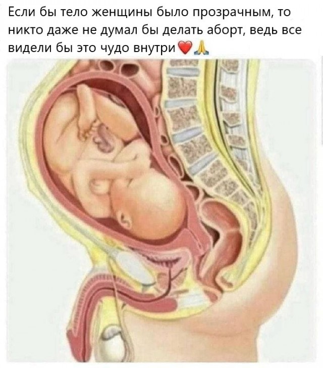 Картинки аморальные и всякие разные - 18