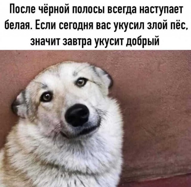 Картинки и мемы для настроения  - 27