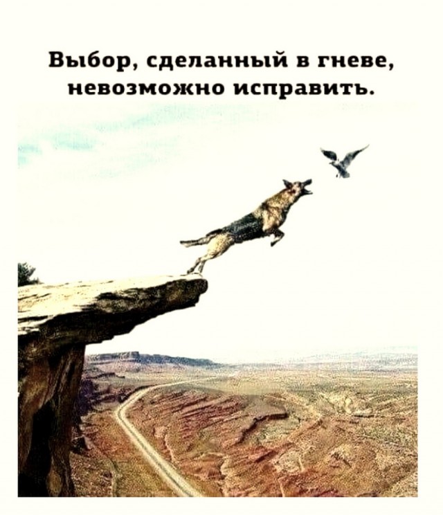 Так себе картинки 06.02.22