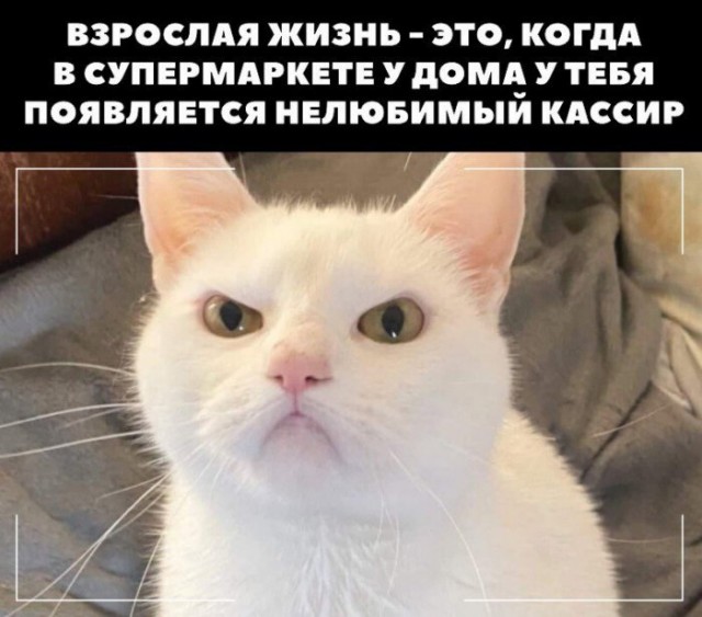 Печальный мемы, которые не поймут дети... но полностью прочувствуют взрослые