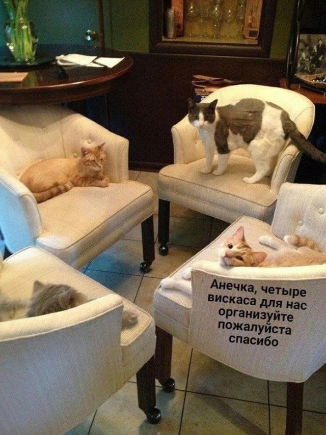 Весёлый полтишок 28.02.22