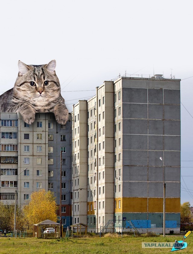 Ребята...