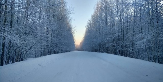 Фотки с телефона.