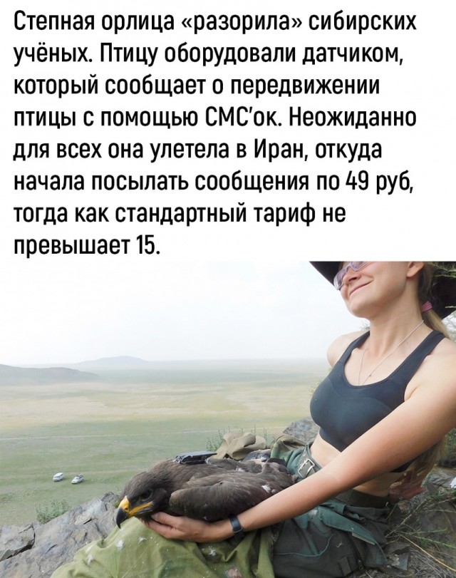 Так себе картинки 10.06.22