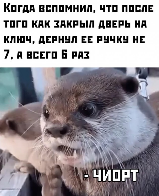 Картинки и мемы для настроения - 23