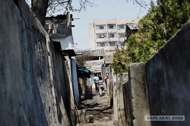 Северная Корея "в цвете"