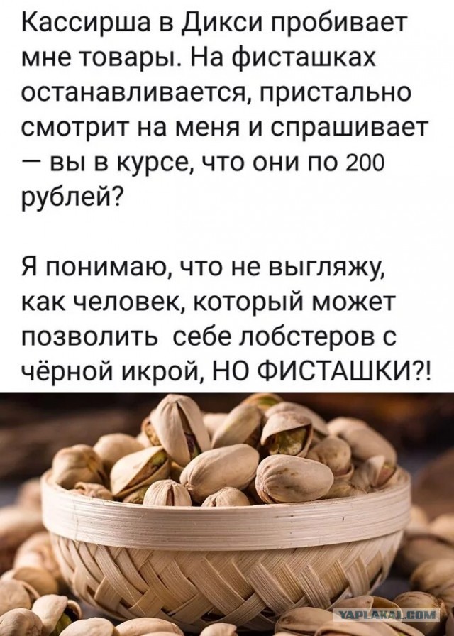 Пандемия съехавших крыш - разновидности болезни. Россия и мир. Часть 42.