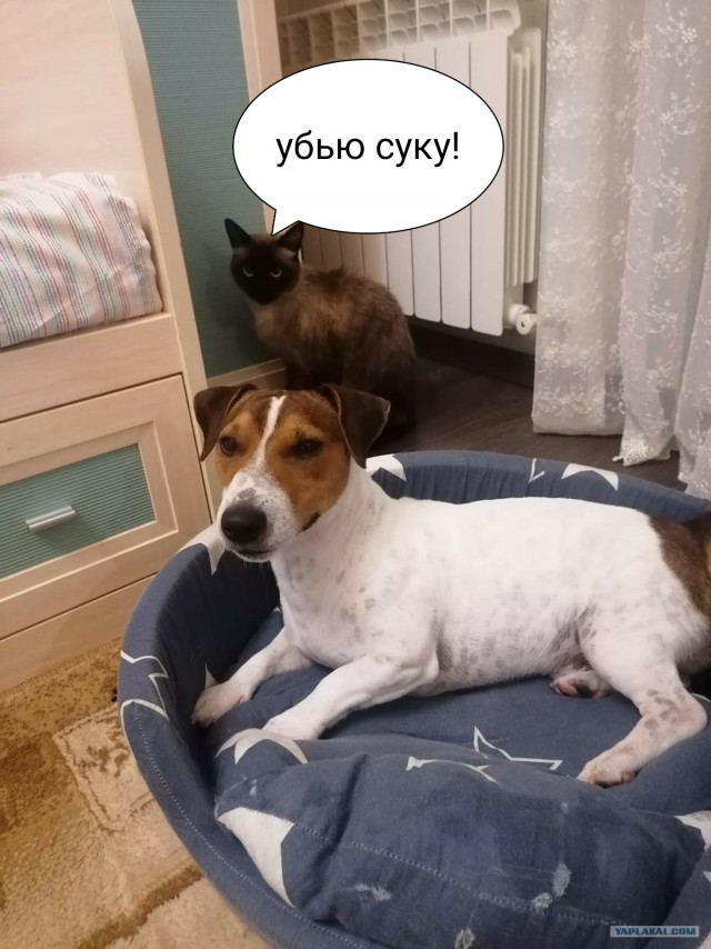 Ну и в чем она неправа?