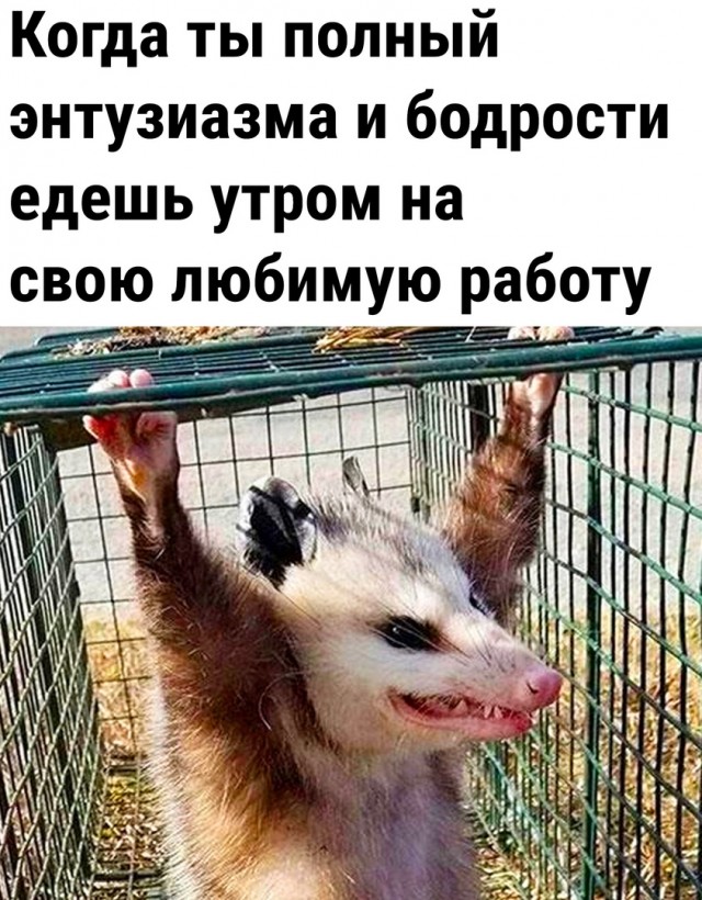 Так себе картинки 25.10.22