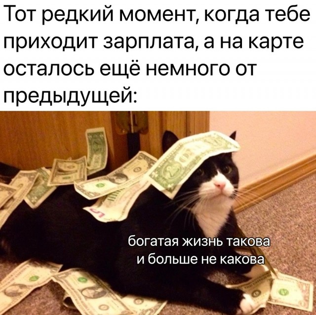 Всякая всячина