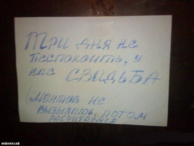 Перлы - 24.12.22
