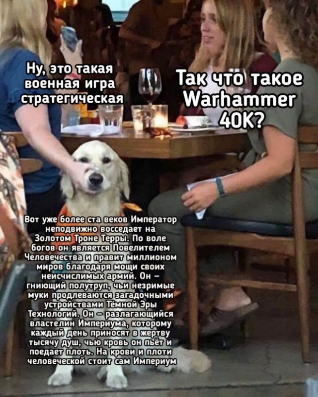 Картинки и мемы, всем хороших выходных