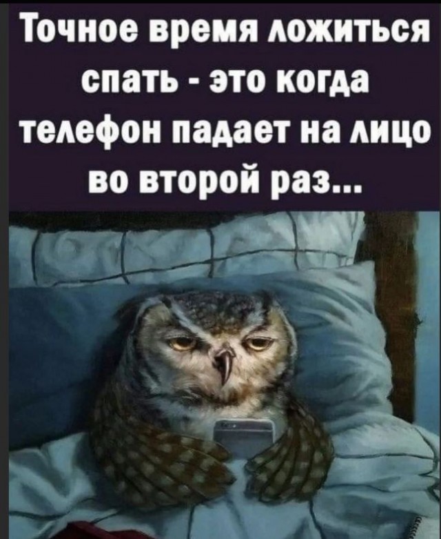 Победная поступь идиотизма по планете – том 6