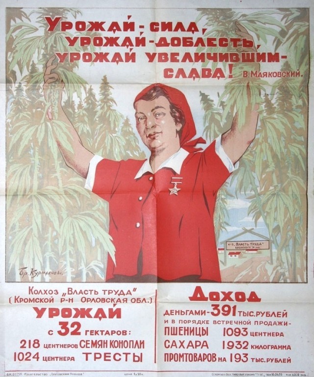Прикольные и просто красивые картинки 31.01.2023