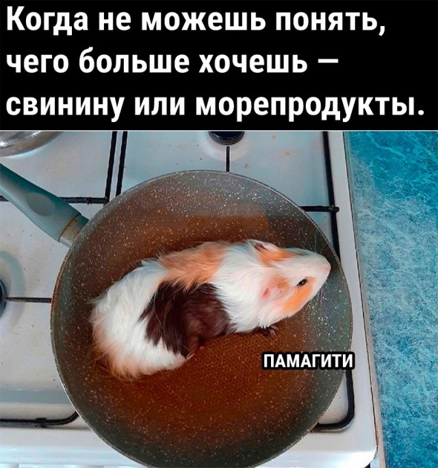 Так себе картинки 26.05.23
