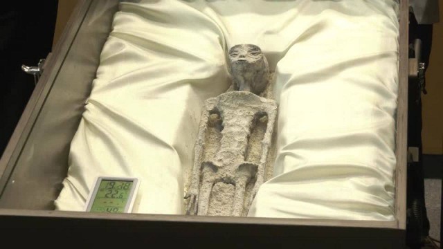 Рязань - Сасово из кабины машиниста