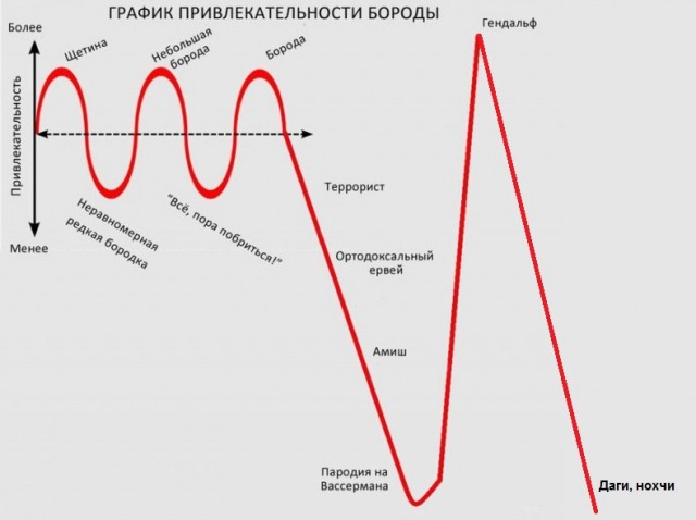 График привлекательности бороды