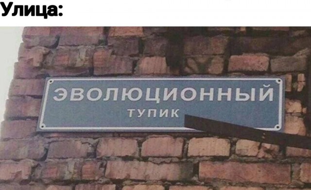 Слово чушпана