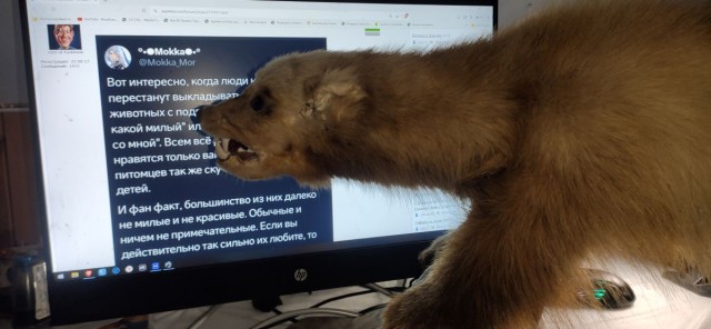На святое покусилась⁠⁠