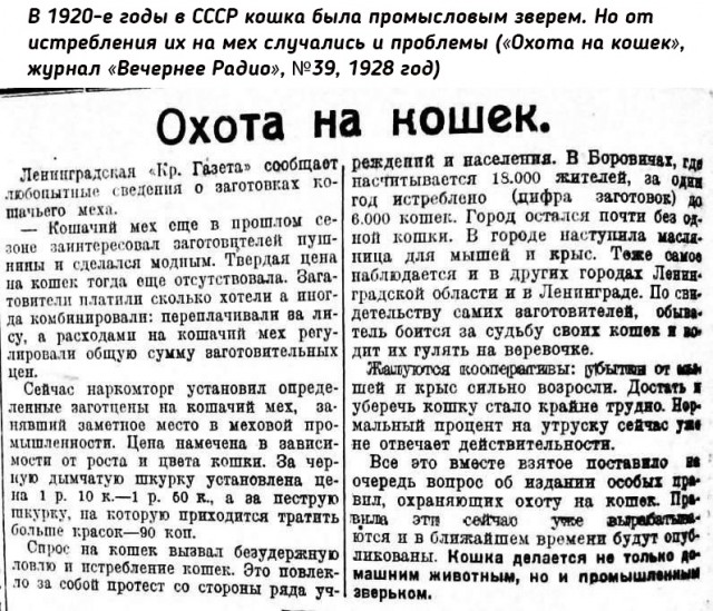 Редкие кадры и архивные снимки. 14.02.24